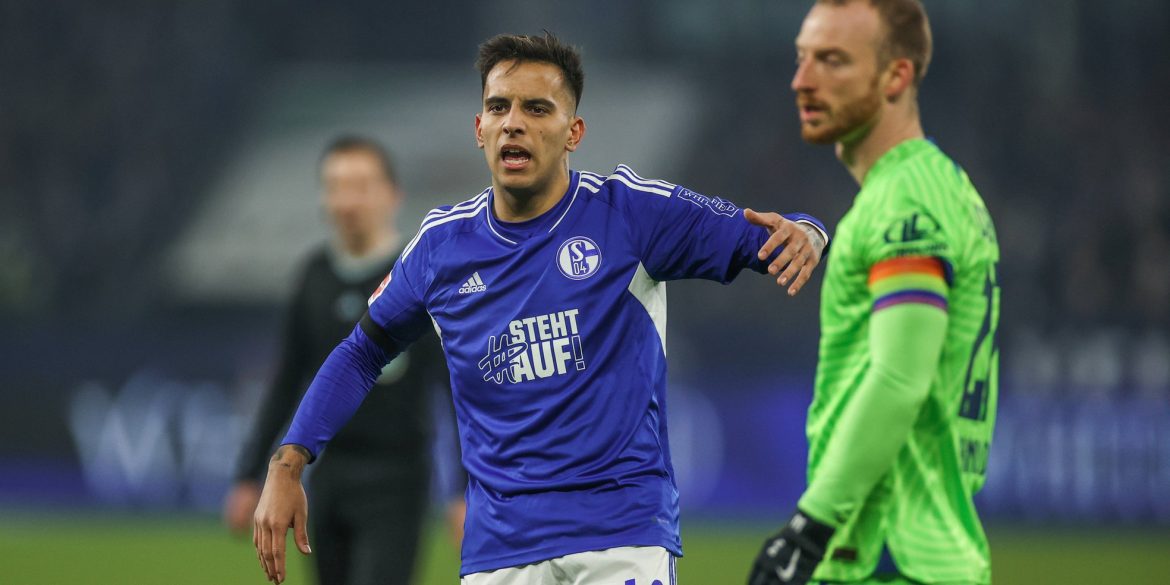 Schalke stabilisiert: Es gibt königsblaue Schnäppchen – aber auch Verkaufskandidaten!